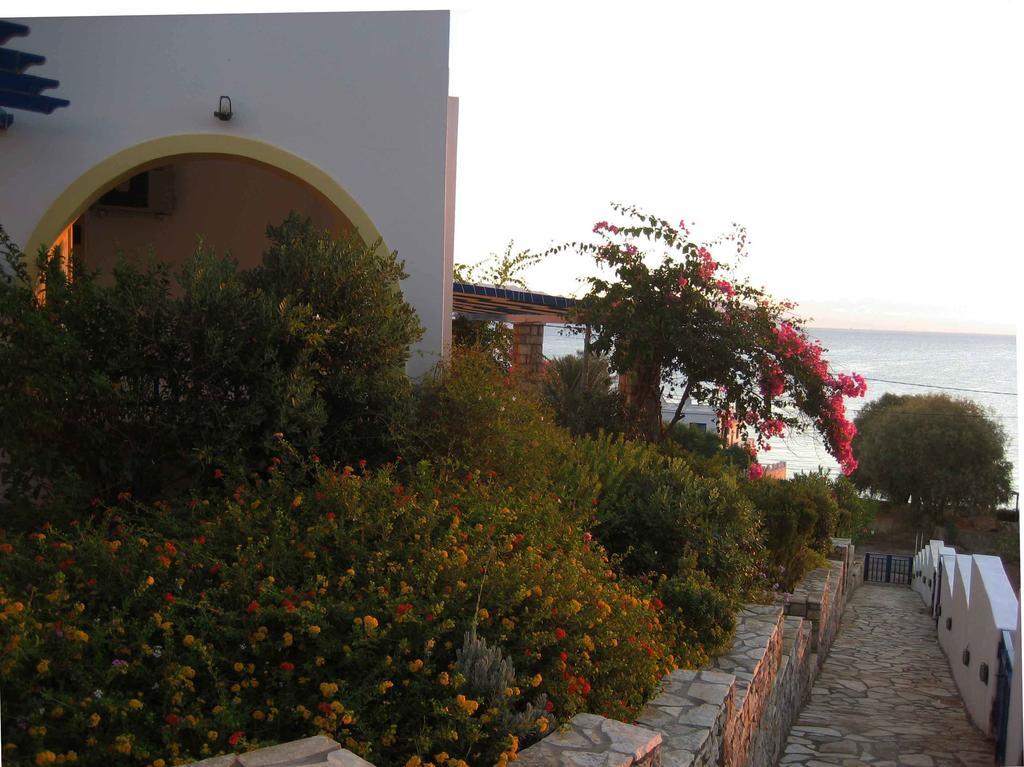 Fyri Ammos Residences Agia Pelagia  Rum bild